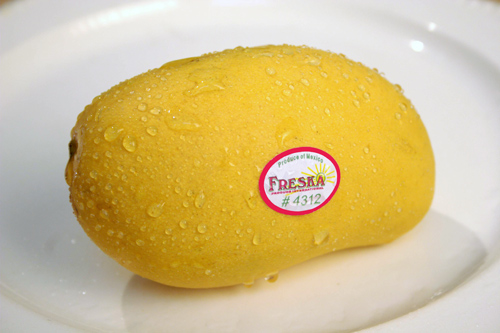 Image: yellow mango sitting on a plate with water droplets on it