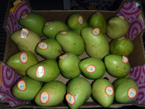 Image: mangos packed into a box