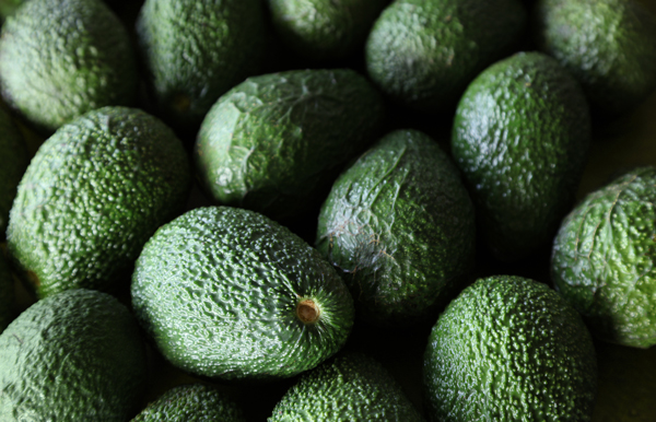 Freska Produce International’s California avocado program focuses on delivering consistent, high-quality Hass avocados, which remain the primary driver of the category, as well as GEM avocados to provide customers with additional variety and supply continuity