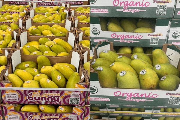 The grower is reporting strong availability on Honey mangos (Ataulfos) with a solid mix of large and small sizes, supporting a program designed for promotions and steady weekly movement