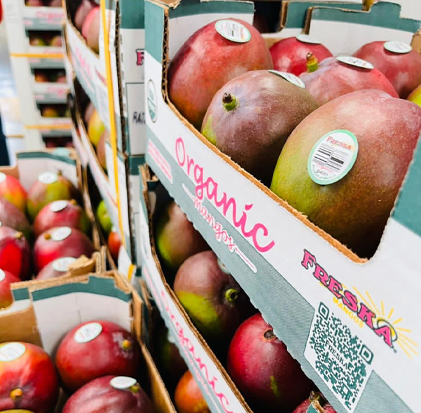 Freska Produce International shared that it is preparing to showcase the strength of its year-round organic mango program and its growing presence within the tropical fruit category