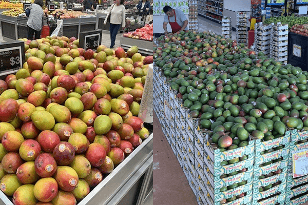 With such great quality and supply fueling consistent support for mango destinations, there are huge opportunities for retailers