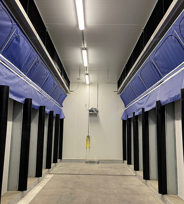 Image: Looking down the hall of a ripening room for mangos