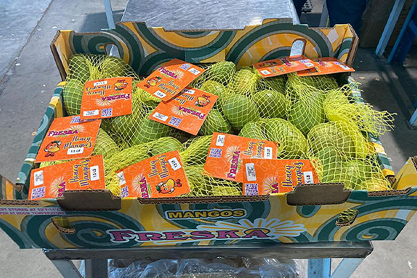 Right now is an exciting time for mangos, as Freska is starting to ramp up volumes of Honeys from Mexico, including organic Honeys, and sizing is currently peaking on larger sizes, meaning plenty of opportunities to promote in the next month