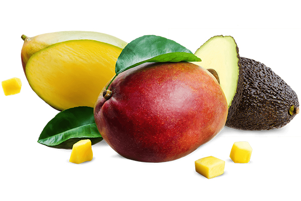 Freska Produce International will have yellow mangos from Mexico in mid-January and good volume by early February