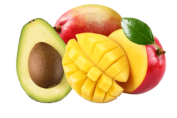 Freska Produce International will have yellow mangos from Mexico in mid-January and good volume by early February