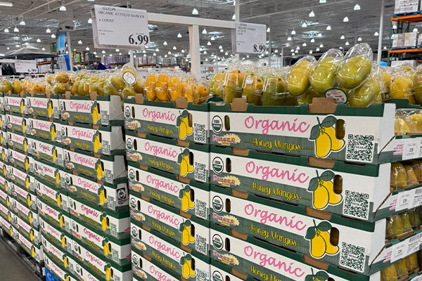 To deliver on the fruit it’s known for, Freska Produce International's focus is simple: consistent quality, dependable supply, and building programs that help its customers grow right alongside it