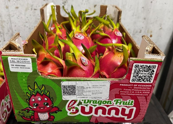 Freska is also proud to announce a new year-round dragonfruit program sourced from Ecuador