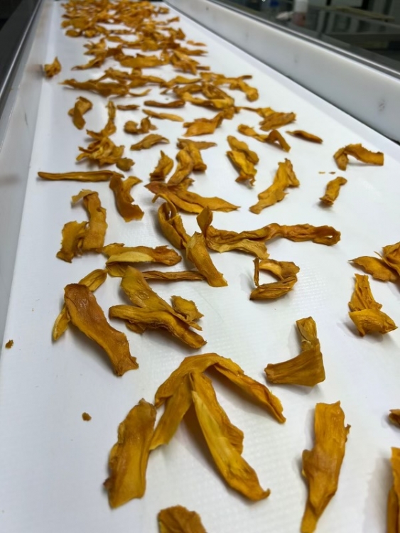 By using 100 percent of its growers’ fruit, Freska is accomplishing its sustainability goals while delivering value to consumers through its dried mango program