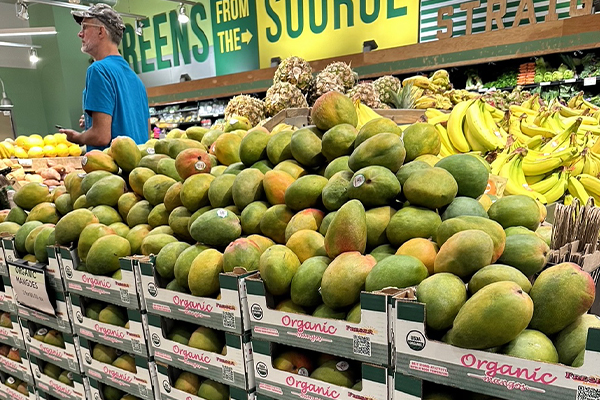 Freska Produce International is bringing its avocado, mango, dragon fruit, and dried mango programs into the spotlight at this year’s event, along with high-quality strawberries from Bobalu