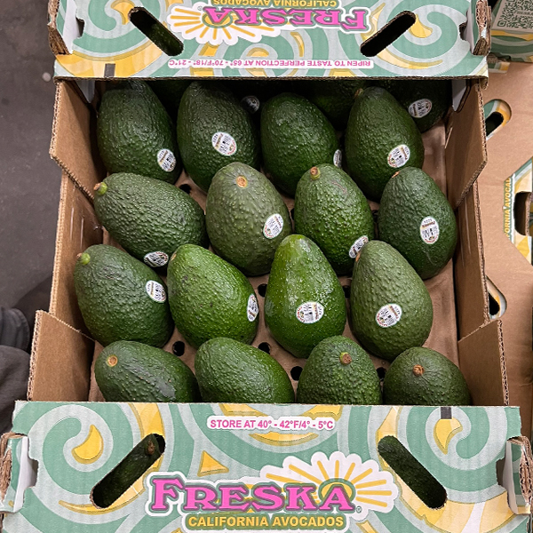 As Freska Produce International reports, the quality of California avocados should be very good this year due to recent rains, but volume will be on the lower side as the crop is smaller than last year