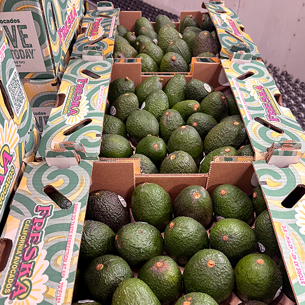 Both pricing and demand remain strong for the overall avocado category