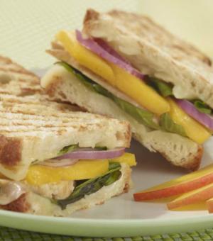 Chicken and Mango Panini